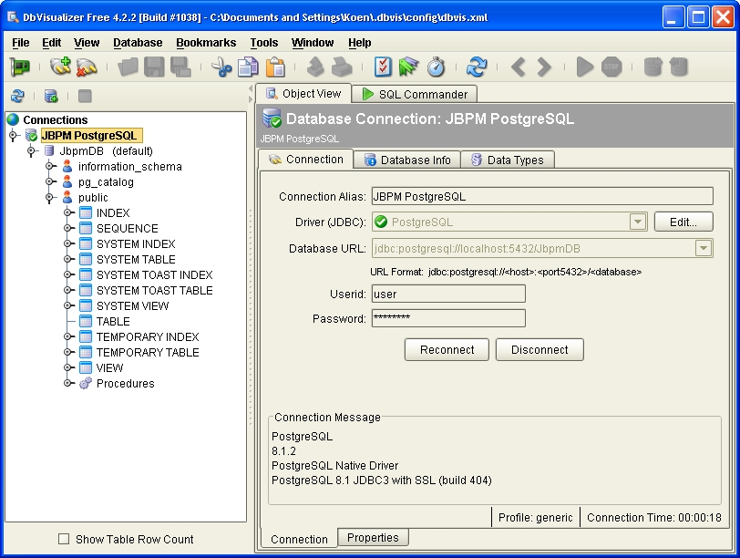 Create the connection to the jBPM database