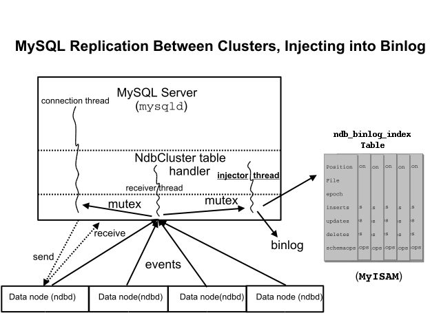 The replication master cluster, the
          binlog-injector thread, and the
          ndb_binlog_index table